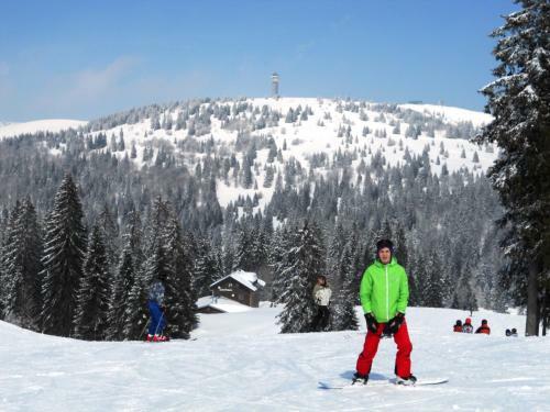 Hostal G�stehaus Behab�hl