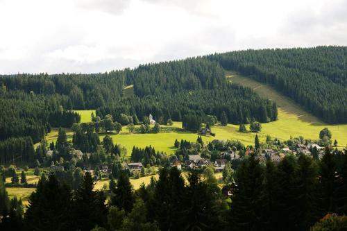 Hotel Haus Feldberg-falkau