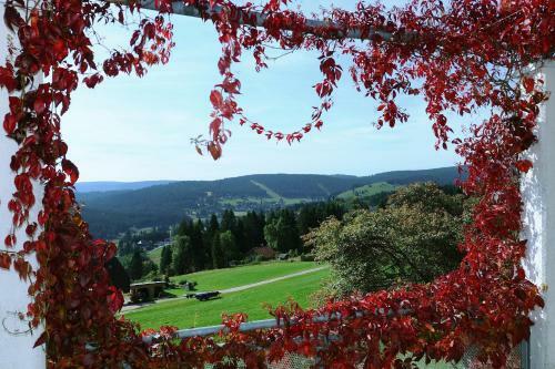 Hotel Haus Feldberg-falkau