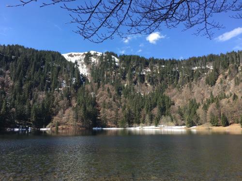 Apartamento Berghaus Feldberg-b�rental