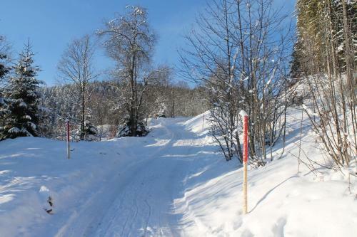 Apartamento Berghaus Feldberg-b�rental