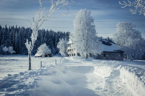 Apartamento Berghaus Feldberg-b�rental