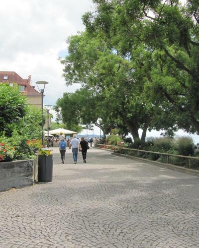 Hostal Gasthof Gr�ner Baum