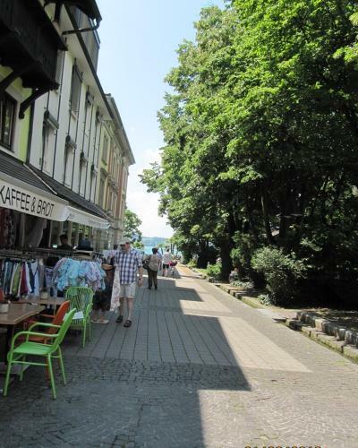 Hostal Gasthof Gr�ner Baum