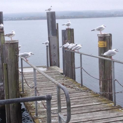 Wohlf�hlhotel Sonnengarten