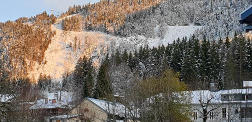 Apartamento Appartement Mijoux