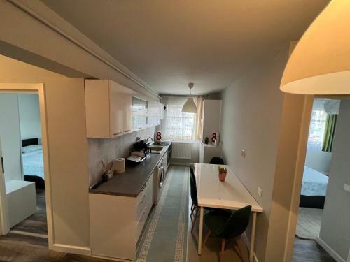 Apartament Spatios, Mobilat Si Utilat Complet