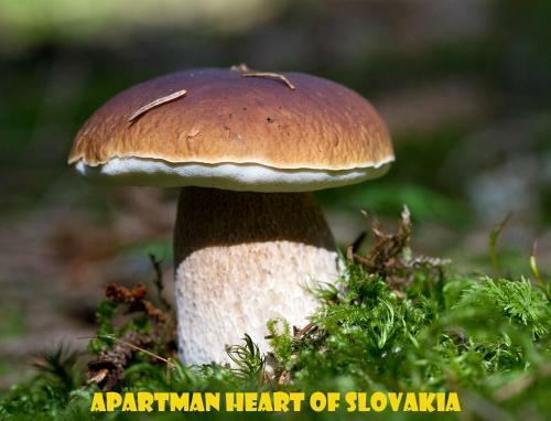 Apartman Srdce Slovenska