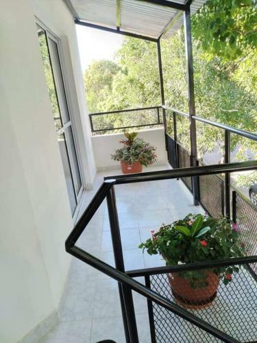 Apartamento Departamento Odi
