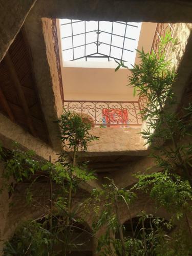 Les 3 Gazelles B&B