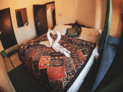 Albergue Jackie Safari Jaisalmer