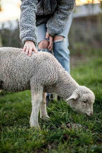 Villa Chatsworth Tasmania