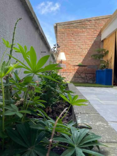 Apartamento Sfeervolle Vakantiewoning Aan Zee