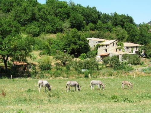 Gite Du Bout Du Monde La Valbonnette