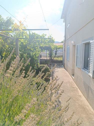 Apartman Dalmatinka