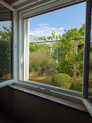 Apartman Dalmatinka