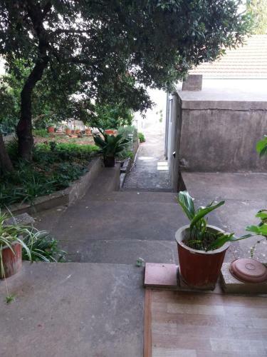 Apartamento Ares