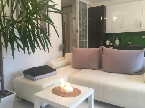 Apartament W Ogrodach Paulinum