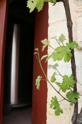 Bed & Breakfast Chateau De Castelneau