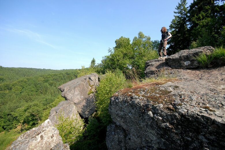 Le Manoir De La Rulette