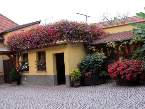 Apartamento Gite Fruehmess