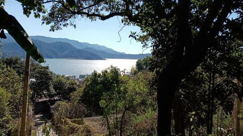 Casa T�a Jane