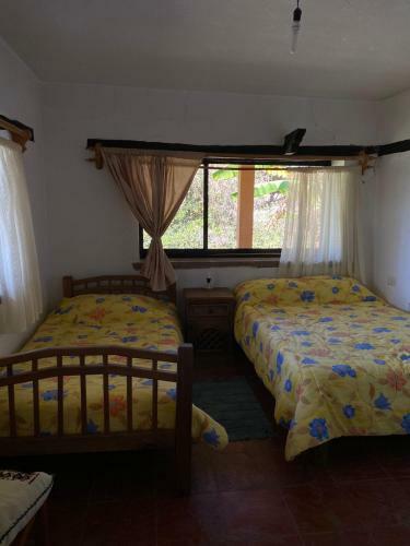 Casa T�a Jane