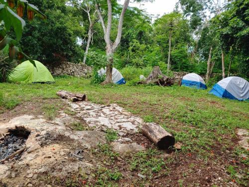 Albergue Cosmic Garden