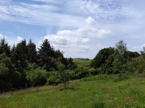 Peaceful Hideaway At Pen Y Banc Smallholding