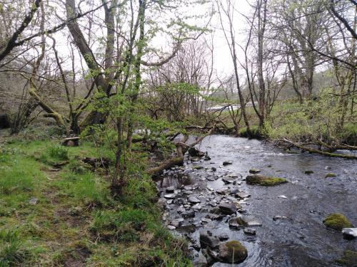 Peaceful Hideaway At Pen Y Banc Smallholding