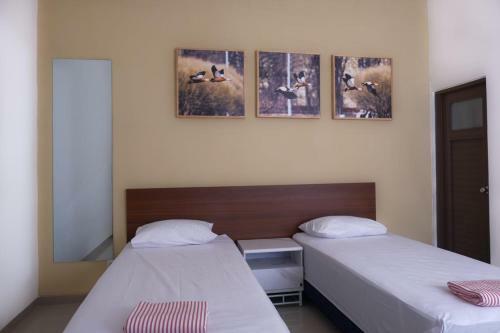 Motel House Of Cokro