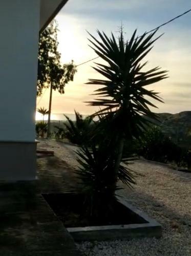 Villa Degli Oleandri- Eraclea Minoa