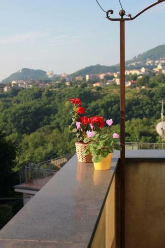 Apartamento Casa Di Angela, Appartamentino Su Due Livelli