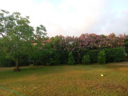 Private Two-floor Holiday House In Leptokarya