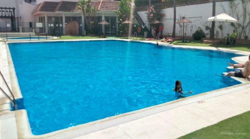 Lovely Apartment Centrally Located In Estepona