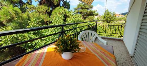 Hostal Little Hause