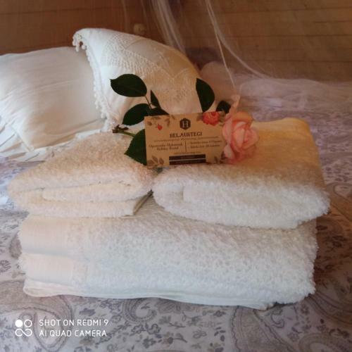 Caba�a Madera En Bosque Y Playa Bizkaia