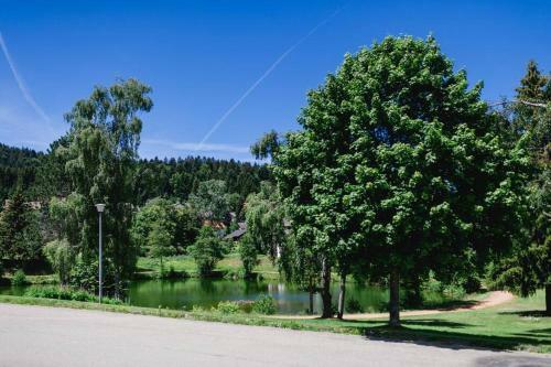Apartamentos Ferienwohnung "am Skilift"