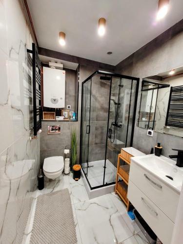 Apartament Przyjaci�? W Wa?brzychu