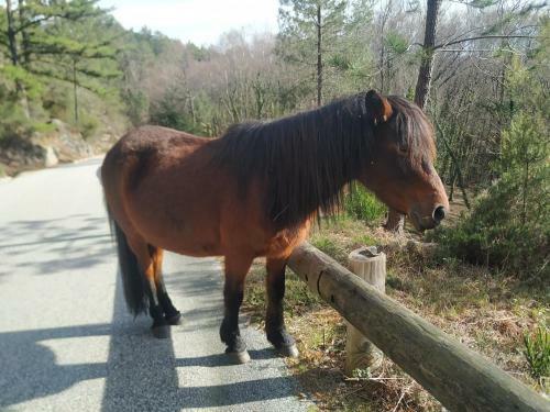 Apartamento Casa Do Vale - Casa Termal - Ger�s/xures