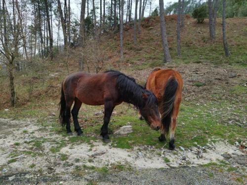 Apartamento Casa Do Vale - Casa Termal - Ger�s / Xures