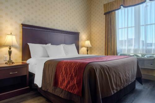 Hotel Comfort Inn & Suites Saint-nicolas