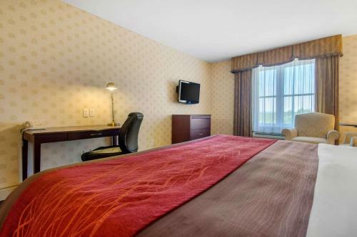 Hotel Comfort Inn & Suites Saint-nicolas