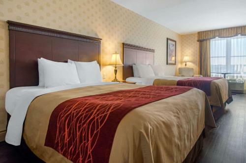 Hotel Comfort Inn & Suites Saint-nicolas
