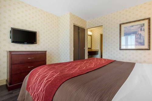 Hotel Comfort Inn & Suites Saint-nicolas