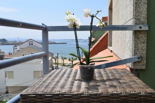 Maravilloso Apartamento Vilanova De Arousa