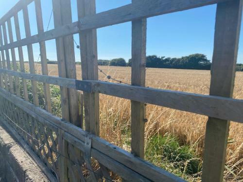 Apartamento Beautiful 1-bed Studio In Porthcawl Near Beach