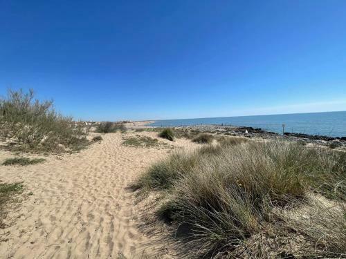 G�te Des Tamarins � Saint-pierre La Mer