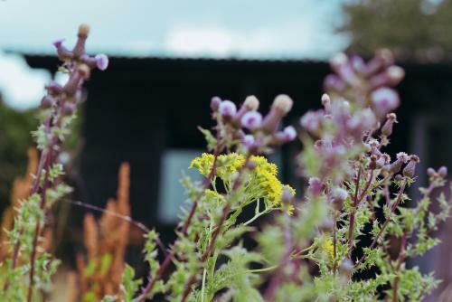 Poppy Wooden Glamping Pod