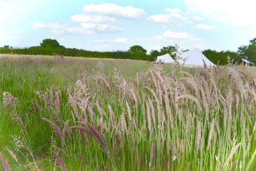Poppy Wooden Glamping Pod